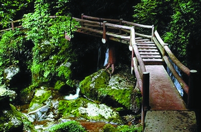 賓縣花樂山景區天氣