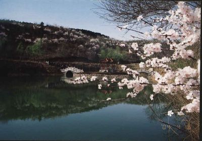 沈陽市蘇家屯區白清寨鄉天氣