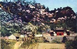 鞍山中會(huì)寺天氣