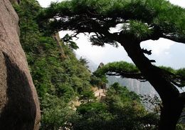 丹東大孤山天氣
