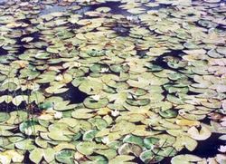 長春蓮花自然保護(hù)區(qū)天氣