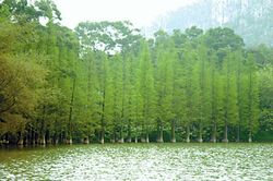 齊齊哈爾哈拉海濕地保護區(qū)天氣