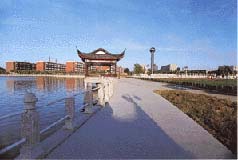 大慶大化公園天氣