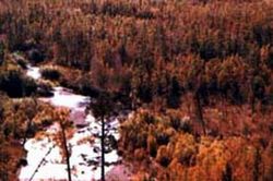 大興安嶺自然保護(hù)區(qū)冷水魚棲息地天氣