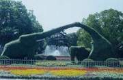 上海動物園天氣