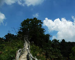 臺中大坑風景區天氣