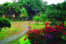 臺灣昆侖藥用植物觀光園天氣