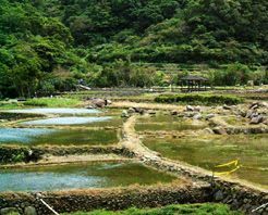 臺北草領古道天氣