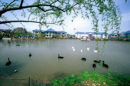 上海申隆生態園天氣