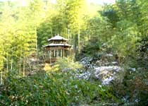 杭州山溝溝風景名勝區天氣
