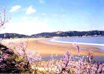 嵊泗塔灣金沙景區天氣