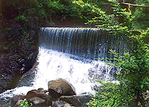 桐廬大奇山國(guó)家森林公園天氣