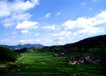 麗水大洋山景區(qū)天氣