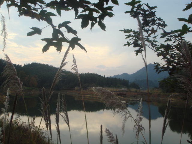 杭州千島湖西南湖區——龍川灣天氣