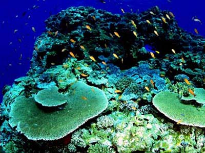 杭州海底世界天氣