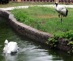 溫州市動(dòng)物園天氣