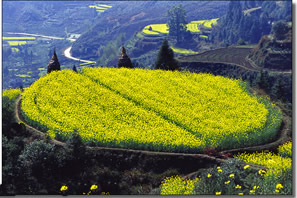 衢州南華山風景區天氣