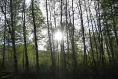 臺(tái)州白云山天氣