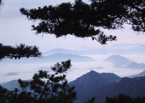 黃山清涼臺(tái)天氣