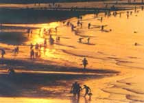 海陽云頂旅游區天氣