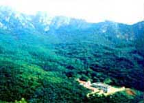 煙臺大基山北朝摩崖刻石天氣