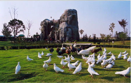 徐州環城國家森林公園天氣