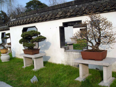 揚(yáng)州盆景園天氣