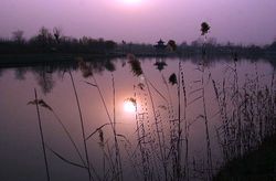 阜陽(yáng)生態(tài)樂(lè)園天氣