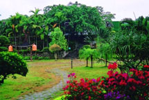 亳州譙東鎮藥用植物園天氣