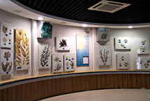 青島海產(chǎn)博物館天氣