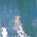 煙臺封神游樂宮天氣