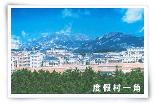 日照喬家墩子村天氣