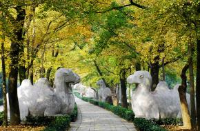 南京市鐘山風景名勝區天氣