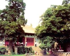 山陽濟源陽臺宮天氣
