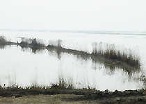 靜海團(tuán)泊洼水庫(kù)天氣