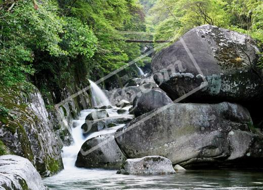 婺源大障山臥龍谷風(fēng)景區(qū)天氣