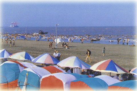 唐山樂亭海濱旅游區(qū)天氣