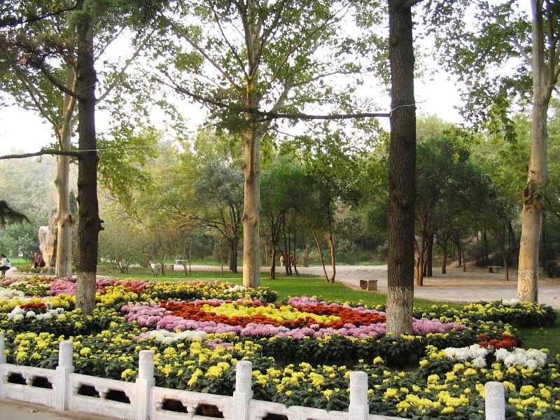 邯鄲叢臺(tái)公園天氣