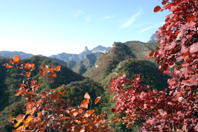 邢臺九龍峽天氣