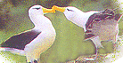 北京動物園天氣
