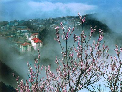 廬山東林大峽谷生態文化旅游休閑度假區天氣