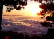 陵川王莽嶺風景區(qū)天氣