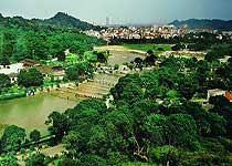 黃埔丹水坑風(fēng)景區(qū)天氣