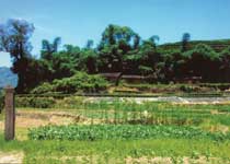 海豐青銅時(shí)代遺址天氣