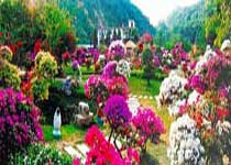 梧州太和花園天氣