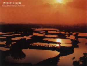 鶴山古勞水鄉天氣
