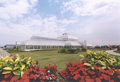 新會現代農業基地天氣