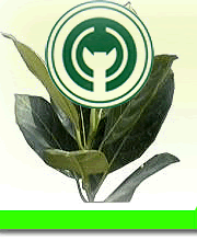 中山豐本農(nóng)業(yè)科技園天氣