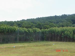 潮州紅山森林公園天氣