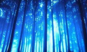 長治五頂山國家森林公園天氣